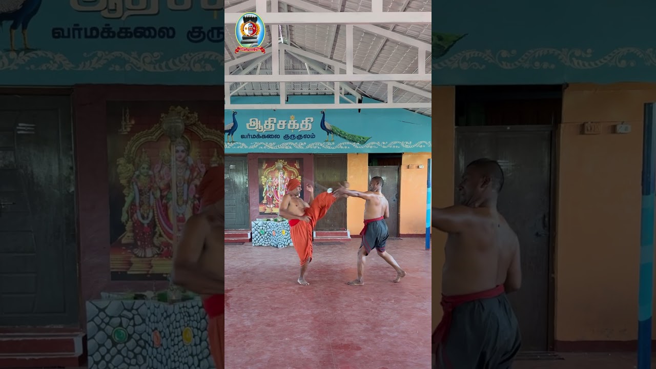 Varmakalai Sword Defence