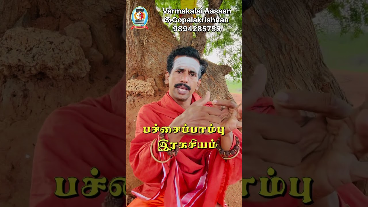 பச்சைபாம்பு இரகசியம்