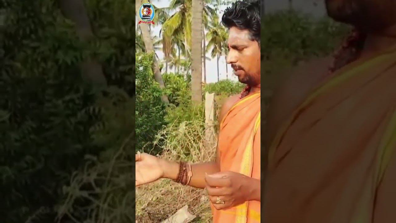 "வேலிப்பருத்தி மூலிகை வைத்தியம்" / தலைமை வர்மக்கலை ஆசான் Dr.எஸ்.கோபாலகிருஷ்ணன் ஆச்சாரியார்.B.A.M.S.