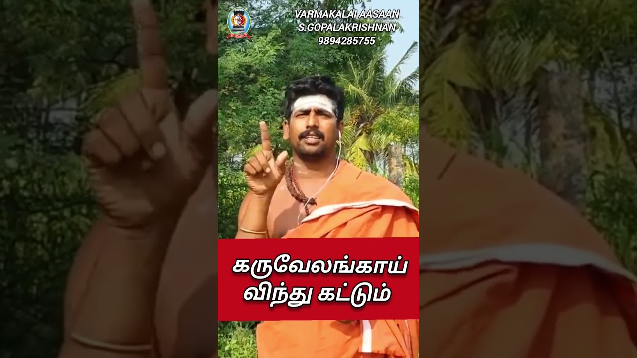 நீர்த்துப்போன விந்துவை கெட்டிப்படுத்தும் கருவேலங்காய் /   ஆசான் எஸ்.கோபாலகிருஷ்ணன் 9894285755