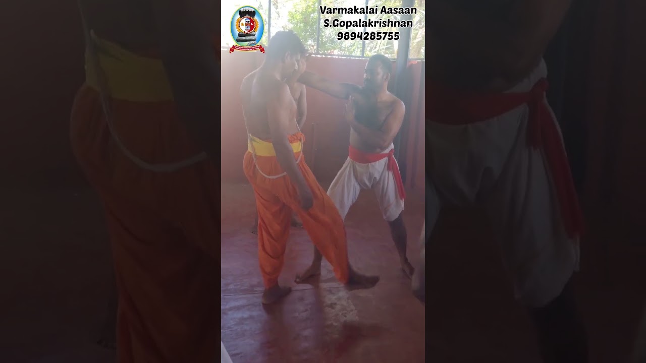 வர்மக்கலை மரணஅடி/Varmakalai Death Touch/S Gopalakrishnan+919894285755