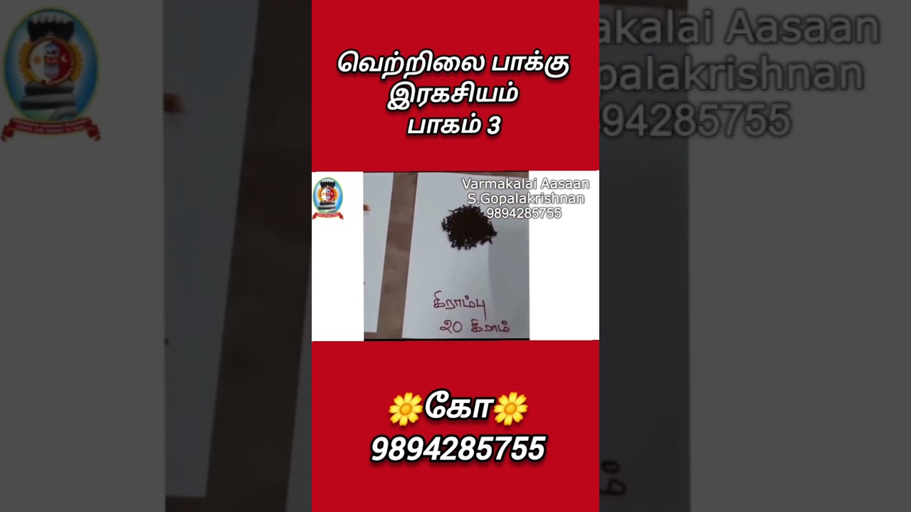 வெற்றிலை பாக்கு இரகசியம்/பாகம் 3 /கோ 9894285755
