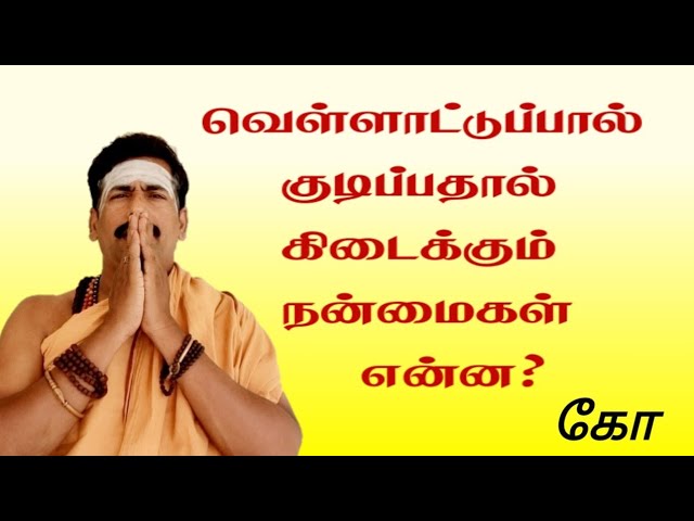 வெள்ளாட்டுப்பால் குடிப்பதால் கிடைக்கும் நன்மைகள் என்ன? தலைமை வர்மக்கலை ஆசான் எஸ்.கோபாலகிருஷ்ணன்