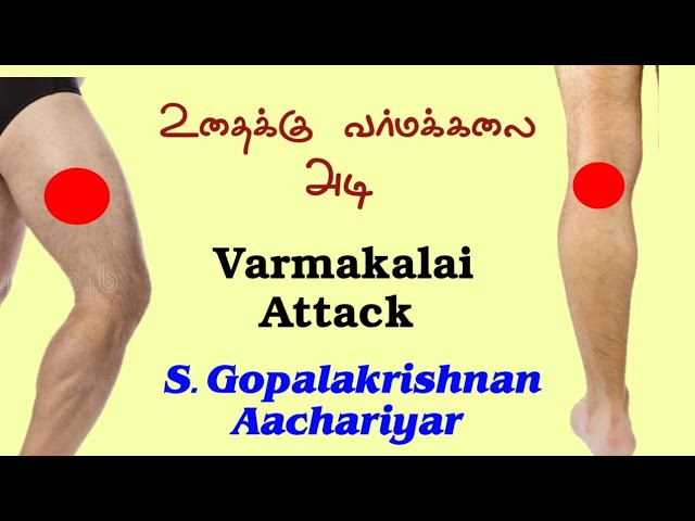 உதைக்கு வர்மக்கலை அடி / Varmakalai Attack / S. Gopalakrishnan +919894285755