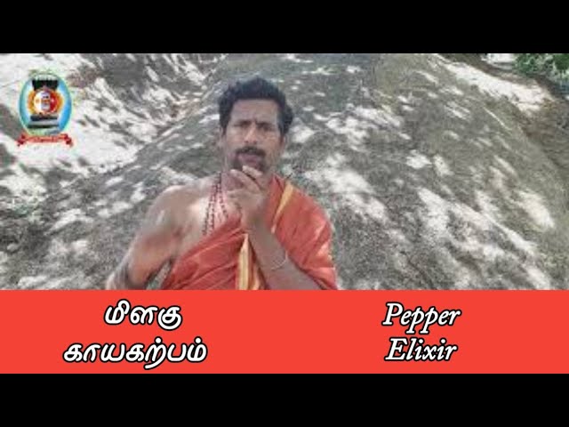 மிளகு காயகற்பம்/S.Gopalakrishnan +919894285755