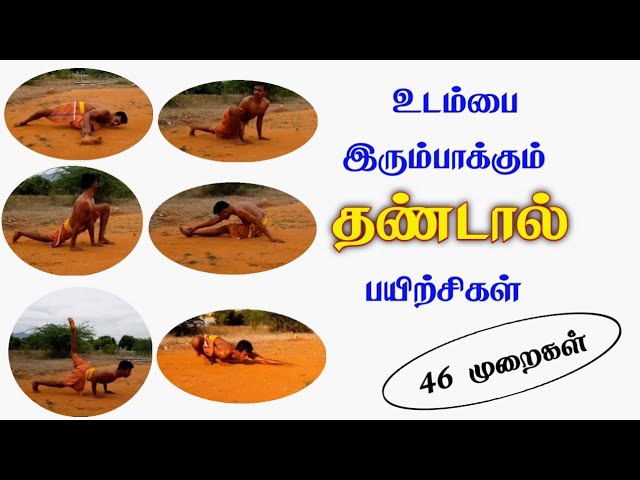 உடம்பை இரும்பாக்கும் தண்டால் /Tamilan Traditional Thandal Exercise/கோ+919894285755.