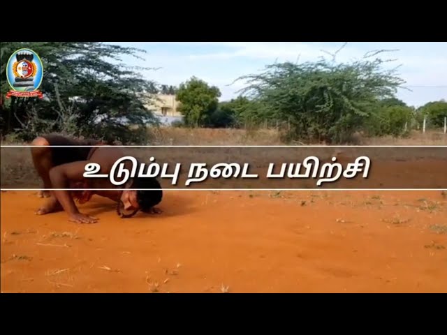 உடும்பு நடை பயிற்சி/Monitor Lizard Walk Training/கோ +919894285755.