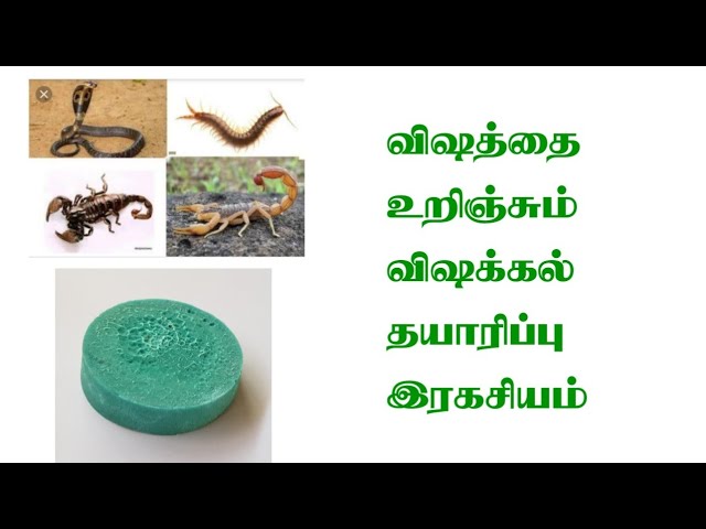 விஷத்தை உறிஞ்சும் 'விஷக்கல் ' தயாரிப்பு இரகசியம்/கோ +919894285755