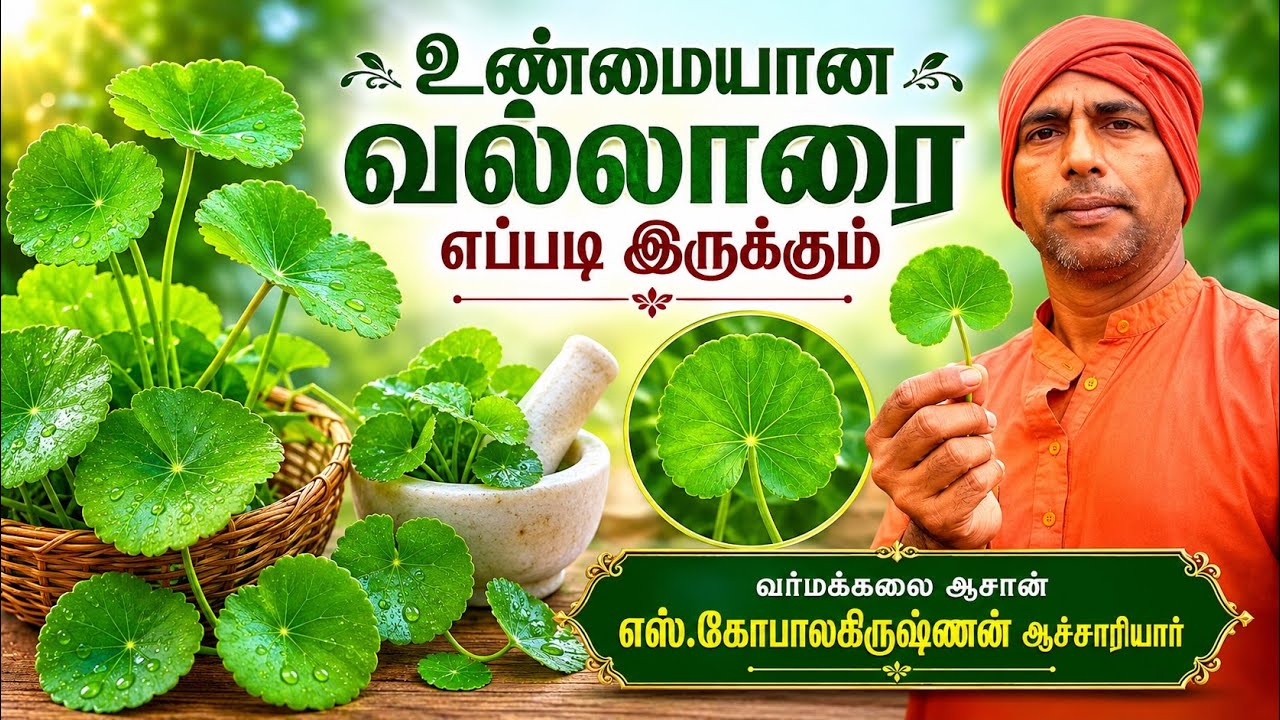 உண்மையான வல்லாரை எது/எஸ்.கோபாலகிருஷ்ணன் 9894285755