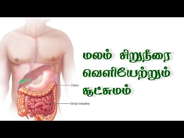 மலம், சிறுநீரை வெளியேற்றும் சூட்சுமம்/முனைவர். எஸ். கோபாலகிருஷ்ணன்+919894285755