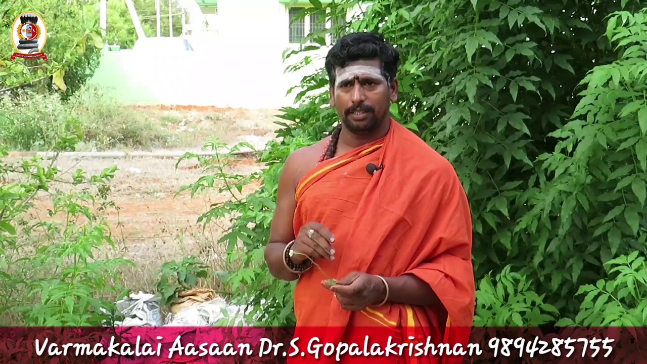 மூலிகை இரகசியம் 'கிணற்றுப்பாசான் ' /Dr.எஸ்.கோபாலகிருஷ்ணன்/9894285755