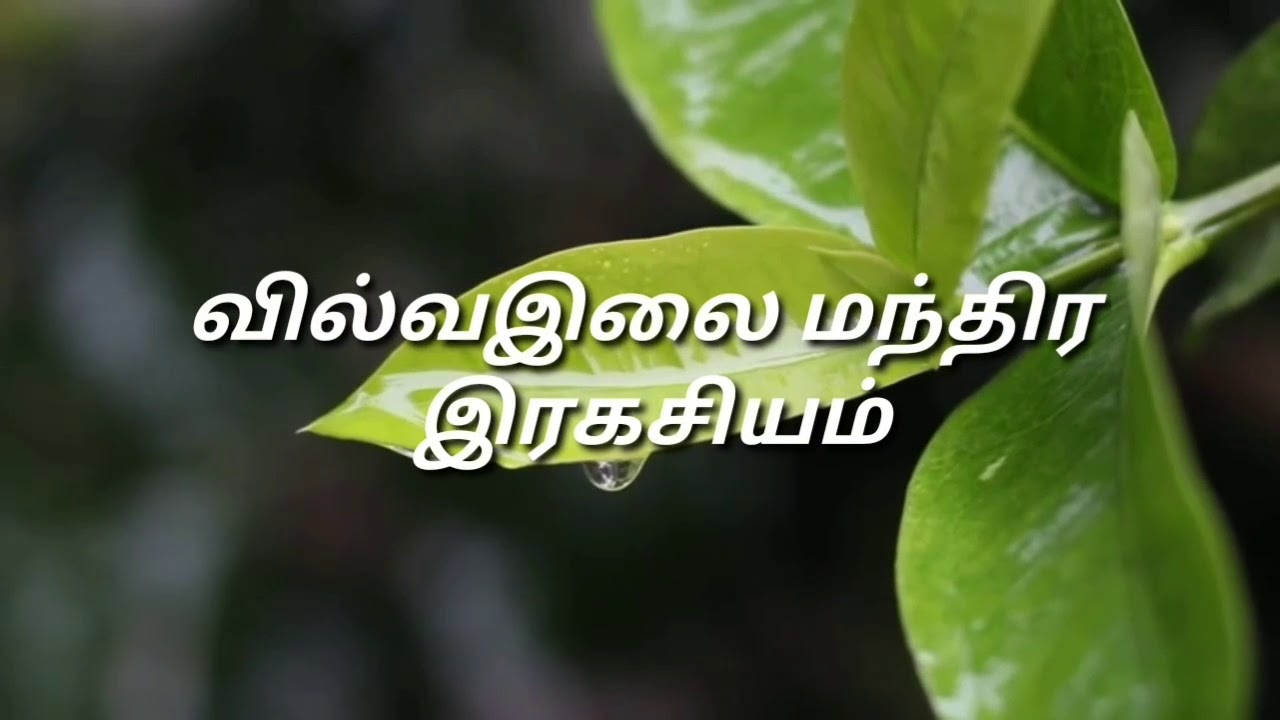 வில்வ இலை மந்திர இரகசியம்/Dr.எஸ்.கோபாலகிருஷ்ணன்+919894285755