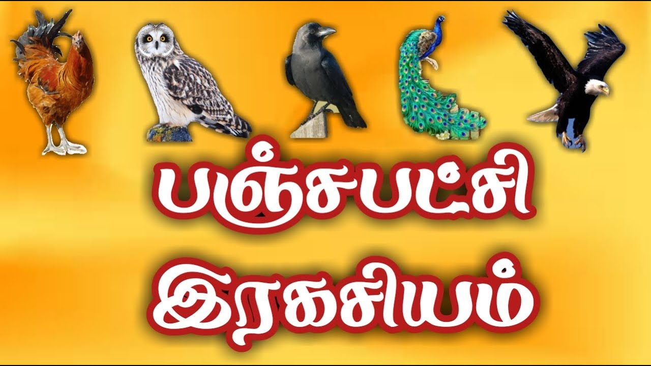 panchapatchi secret/எஸ்.கோபாலகிருஷ்ணன்+919894285755