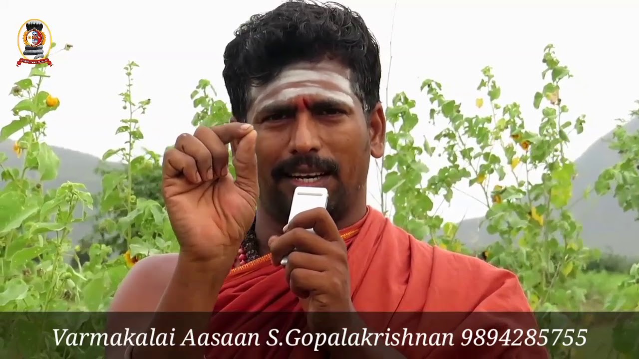 மூலிகை இரகசியம் " துத்தி" /எஸ்.கோபாலகிருஷ்ணன் +919894285755