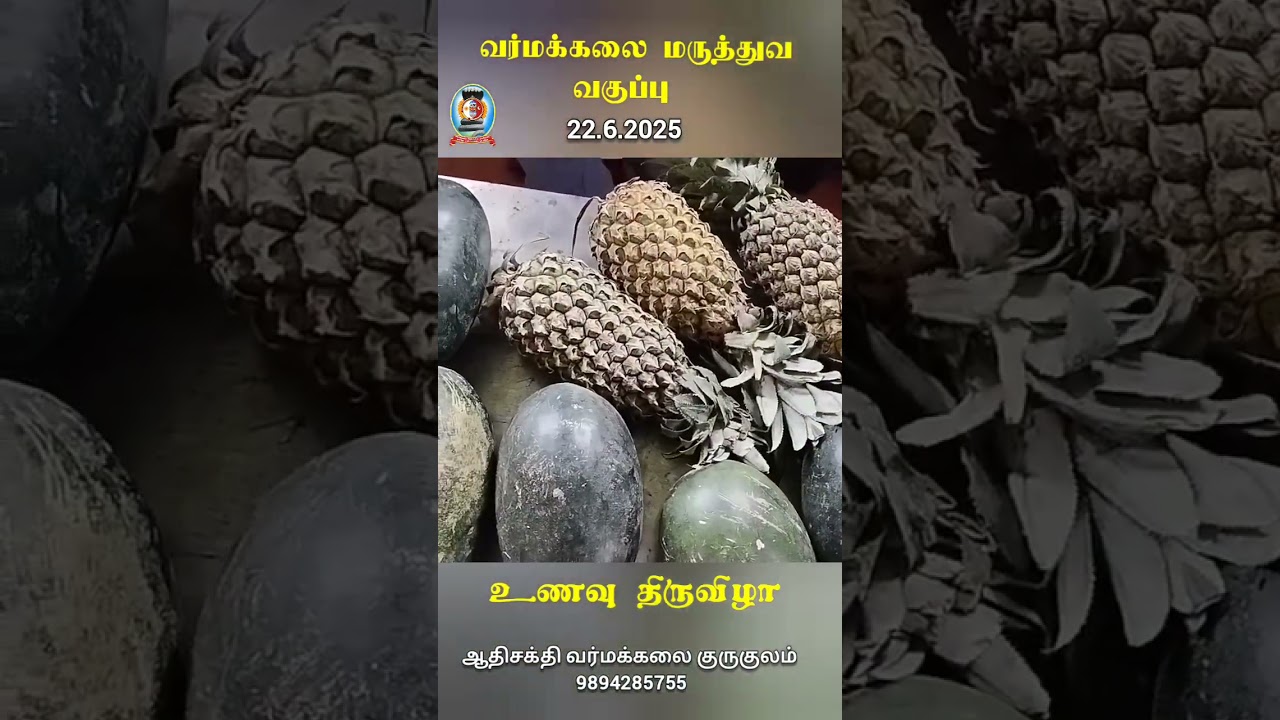 வர்மக்கலை மருத்துவ வகுப்பு / உணவு திருவிழா